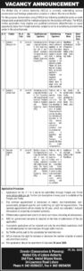 Walled City of Lahore Authority (WCLA) Jobs 2026: Assistant Manager Civil, Assistant Director Civil & Graduate Engineer Civil Positions Announced – Last Date 29 June 2026 – Jobboostpk